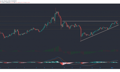 Análisis de precios de Bitcoin SV, Litecoin, Polkadot: 02 de mayo