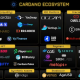 La carrera de Cardano hacia la cima vs Ethereum