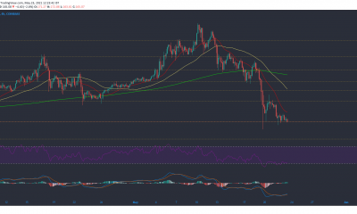 Análisis de precios de Litecoin, Bitcoin Cash, Polkadot: 23 de mayo