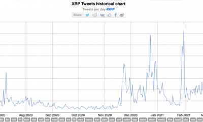 Este toro de Bitcoin en los partidarios de XRP: simplemente no miran la verdad a veces