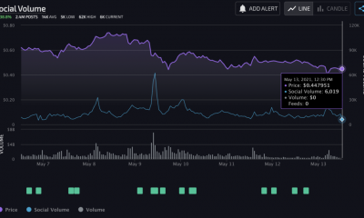 He aquí por qué casi todas las cadenas de bloques están considerando tener una contraparte de DOGE