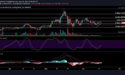 Los compradores de Cardano tienen este papel que desempeñar a corto plazo