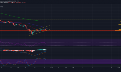 Bitcoin Cash: ¿Es probable otra reducción?