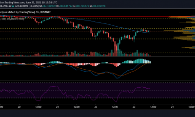 Esto es lo que Binance Coin enfrentará en su camino hacia la recuperación