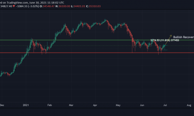 Trazando paralelismos entre las acciones de Tesla y Bitcoin