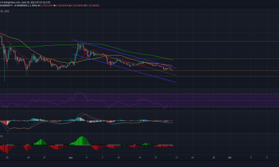 Dogecoin vs las probabilidades: ¿Qué podría suceder después?