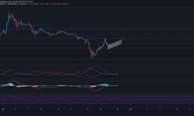 ¿Preocupado por Dogecoin? Esto es lo que podría desencadenar el próximo rally.