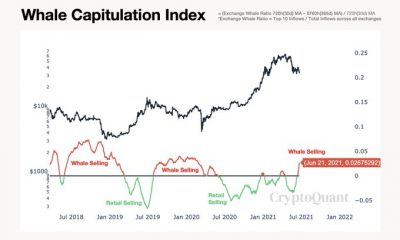 "Parece que el mercado bajista de Bitcoin está confirmado" ... PERO aquí está el truco