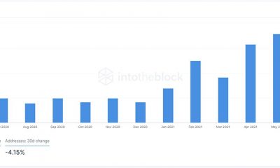 Mirando estas métricas de Dogecoin, ¿dónde variará el precio?