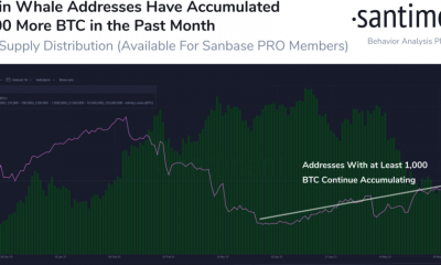 ¿Es este un buen momento para cambiar sus altcoins por Bitcoin?