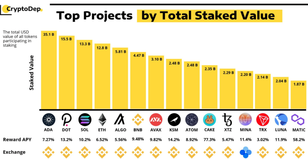 ¿Por qué este veterano del mercado es fanático de Cardano y Polkadot?