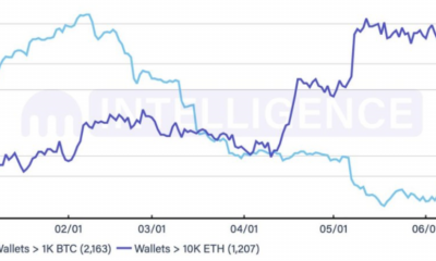 ¿Es realmente "peligroso dar predicciones sobre" este nivel alto de Ethereum?