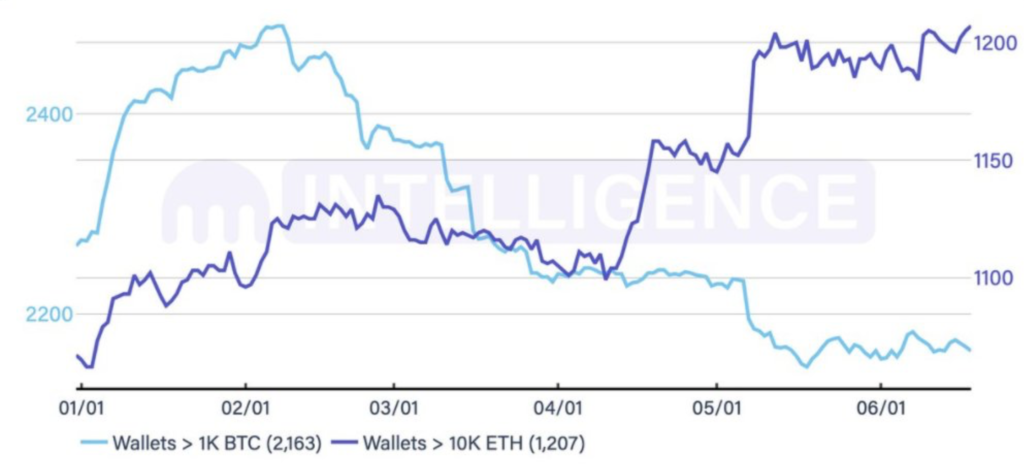 ¿Es realmente "peligroso dar predicciones sobre" este nivel alto de Ethereum?