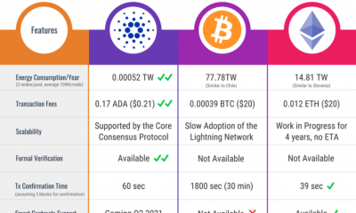 Bitcoin y Cardano: niveles cruciales que deben mantener estos criptos 'emergentes'