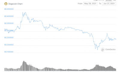 Los HODLers de Dogecoin aumentan después de cada caída