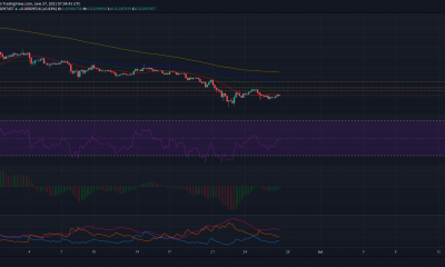 ¿Podría la recuperación de XRP limitarse a estos niveles?