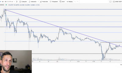 ¿Cuál es la opinión de este analista sobre el movimiento de precios de Dogecoin e ICP?