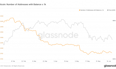 ¿Están las ballenas Bitcoin rediseñando sus inversiones?