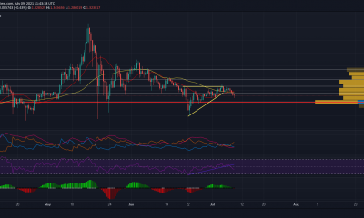 Los comerciantes de Cardano deberían esperar esto si el mercado vuelve a caer