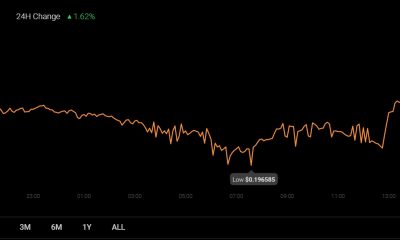 Puede haber "mérito" en que DOGE haga esto frente al Bitcoin "lento", Ethereum