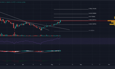 Los traders largos de Cardano podrían aprovechar esto