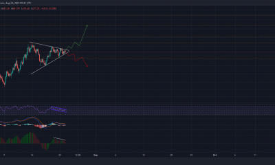 Bitcoin Cash a $ 800 podría funcionar así