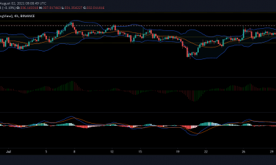 Análisis de precios de Binance Coin, Synthetic y Enjin: 2 de agosto