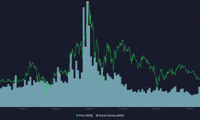 Precio de Cardano: esto es lo que ha "proporcionado una especie de seguridad"