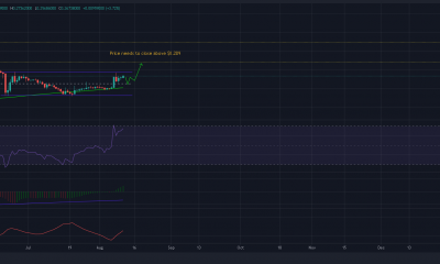 Los comerciantes pueden invertir en Dogecoin si ...