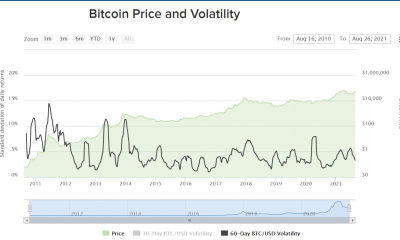 Aproximadamente la mitad de los estadounidenses consideran que Bitcoin es un negocio arriesgado, pero ¿les importa?