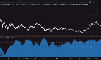 Bitcoin: lo que debe y no debe hacer si es un tenedor o comerciante a largo plazo