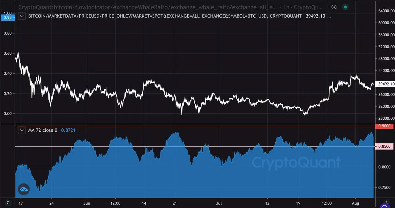 Bitcoin: lo que debe y no debe hacer si es un tenedor o comerciante a largo plazo