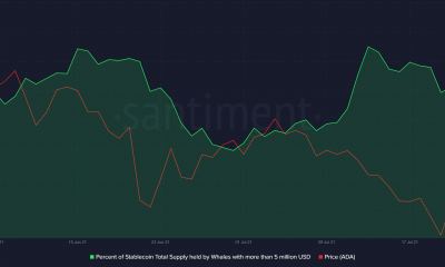 Cómo esta sección de HODLers de Cardano pudo haber impulsado su rally