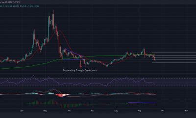 Los inversores deben prepararse a medida que Bitcoin Cash va cuesta abajo en las próximas semanas