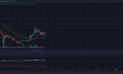 Para Dogecoin, las condiciones para un rally extendido son ...