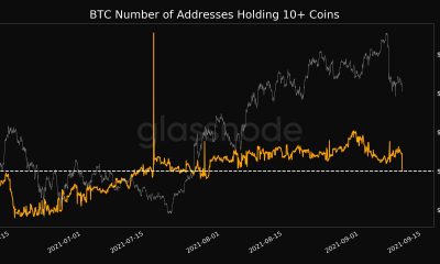 El aumento de compradores significa esto para Bitcoin en los próximos días