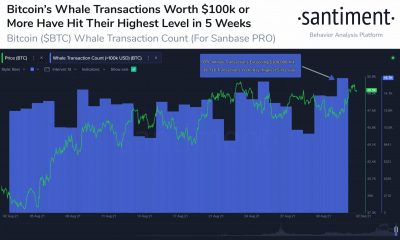 Esta métrica de Bitcoin podría dictar si un top local llegará pronto