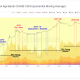 ¿Bitcoin está en la cúspide de una cima generacional o un segundo rally?