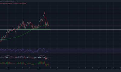 Chainlink: aquí es cuando se puede esperar una reversión alcista