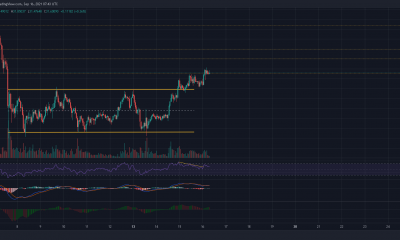 ¿Chainlink está REALMENTE listo para un rally sostenido?