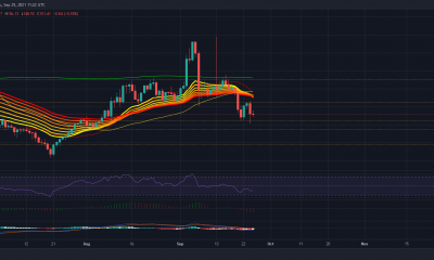 Litecoin: estas señales dan más credibilidad a una tendencia bajista en lugar de un rally