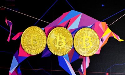 ¿Que es esta subcultura de Bitcoin 'pequeña' pero 'ruidosa' que algunos llaman 'tóxica'?