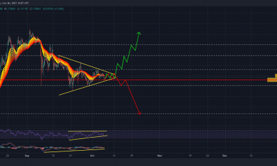 Por que podría deberse a una gran oscilación de precios para Cardano