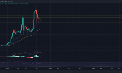 Una mirada más cercana a los gráficos diarios y semanales de Cardano revela esto