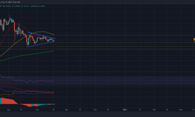 Por qué es imperativo que Cardano coja fuerzas ahora mismo