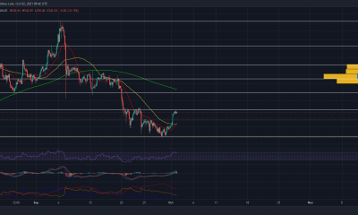 Bitcoin Cash: qué esperar durante las próximas 48 horas