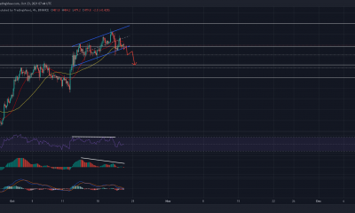 Binance Coin: los vendedores en corto pueden obtener un 7% de ganancias si esto sucede