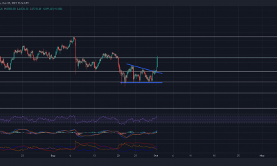 Con Bitcoin negando la configuración bajista, podrían $ 53,000 estar en su punto de mira