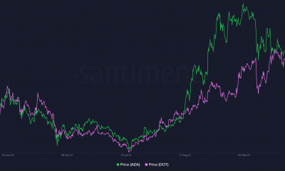 Lo que significan las acciones de precios opuestas de Cardano, Polkadot en el futuro