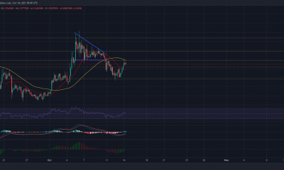 Que esperar de la acción del precio a corto plazo de Dogecoin